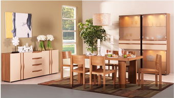 全屋定制新浪潮 5大家居品牌引领高端生活方式